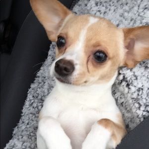 Meet your Posher, Kenia